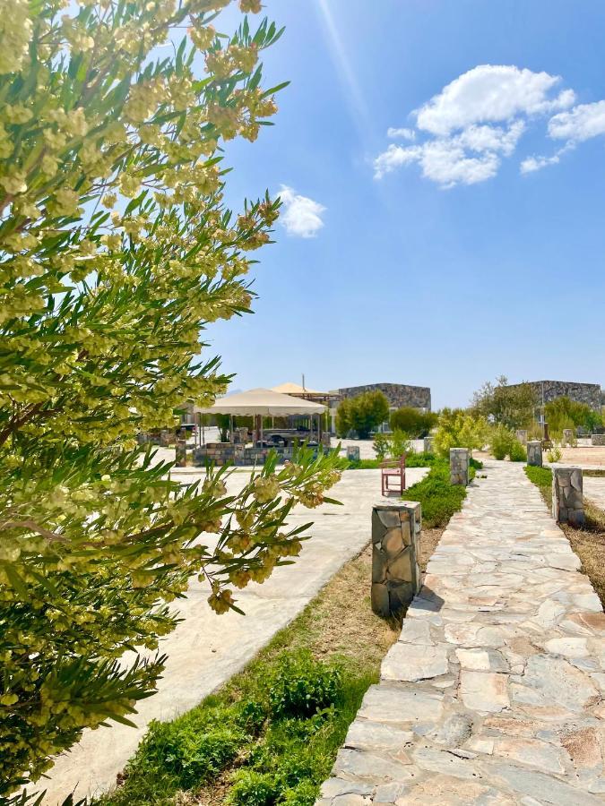 Jebel Shams Resort منتجع جبل شمس Dar Sawda Exteriér fotografie